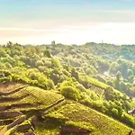 Spitzhaus * Radebeul