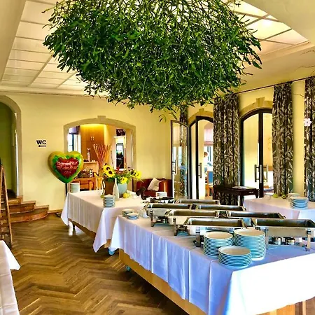 Spitzhaus * Radebeul