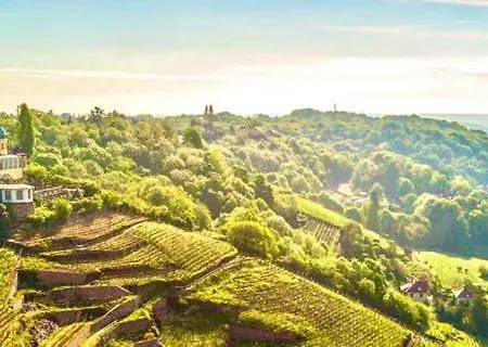 Spitzhaus * Radebeul